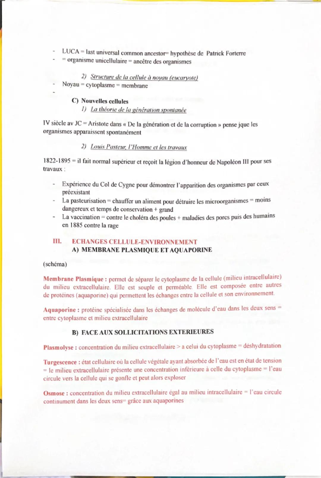 pm
I.
ES: LA CELLULE, UNE STRUCTURE COMPLEXE
ECHELLES D'ORGANISATION DE LA CELLULE
= nm
um
-mm-m
Atome - Molécule = Cellule Organisme
Dans l