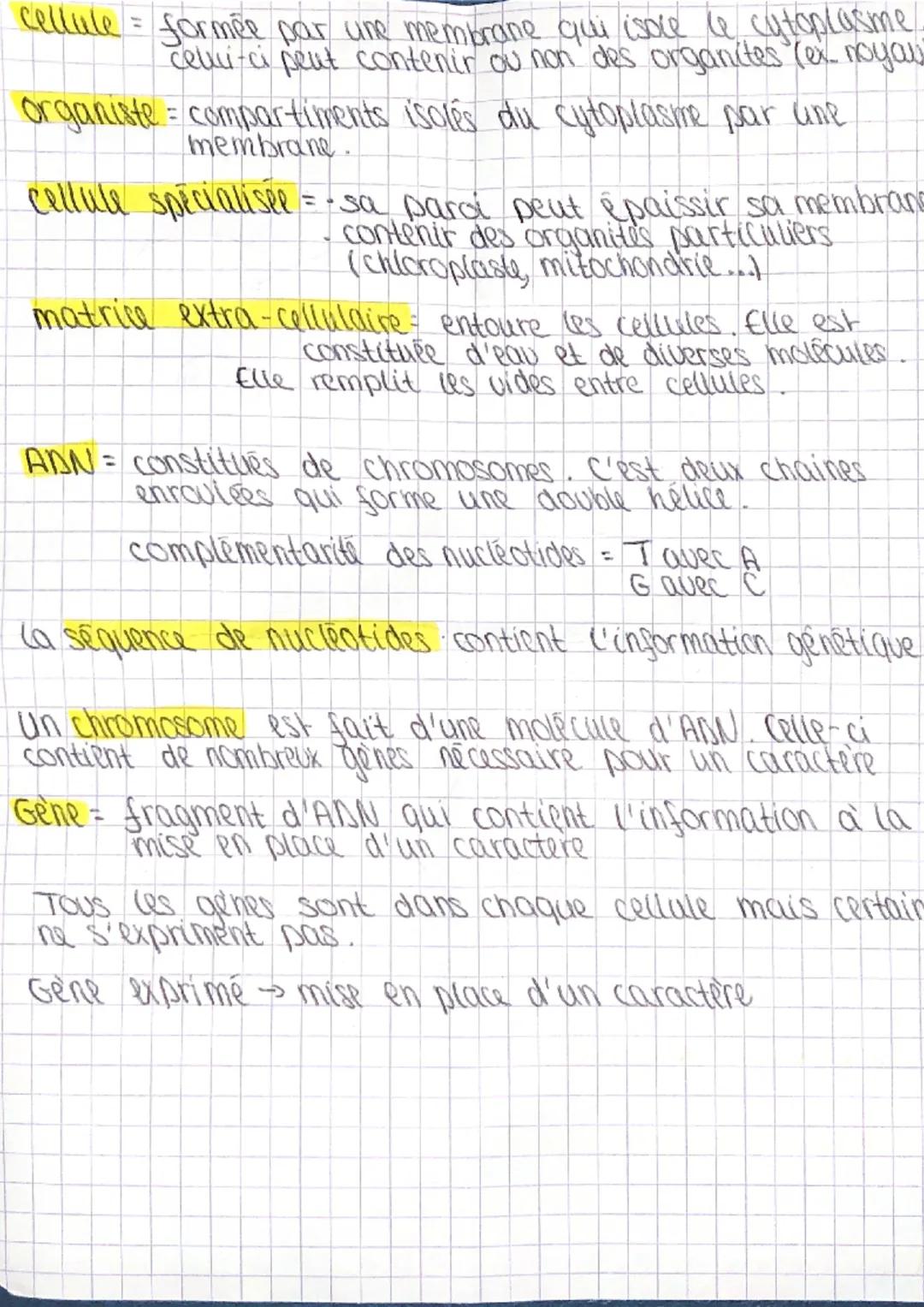 SUT = organisation cellulaire des êtres vivants
il existe deux types de cellules
cellule procaryote
schema celtu te
vegetale
3
membrane
cyto