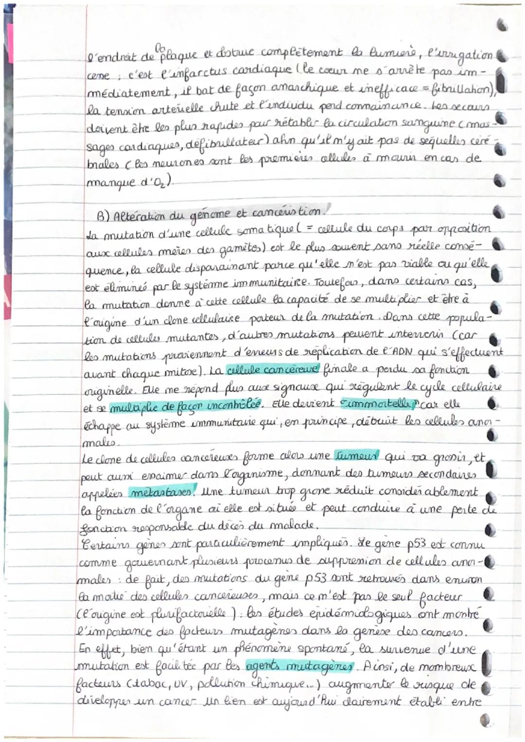 Maladies genetiques mono
et plurifactorielles
I- Maladies genetiques monofactorielles Nous savons que le phenotype d'un
A) Mutations à l'ori