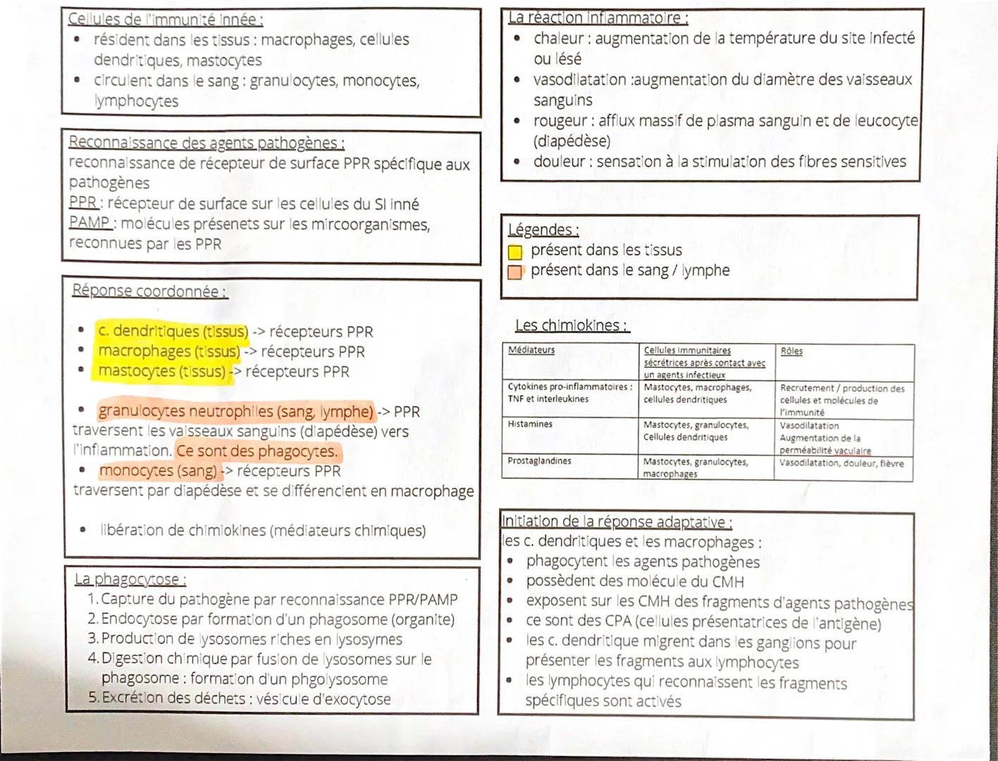 # CHAPITRE S.2.2: LA RÉPONSE IMMUNITAIRE INNÉE
Lexique du chapitre:
Antigène: molécule, solt circulant dans le plasma, soit fixée sur une