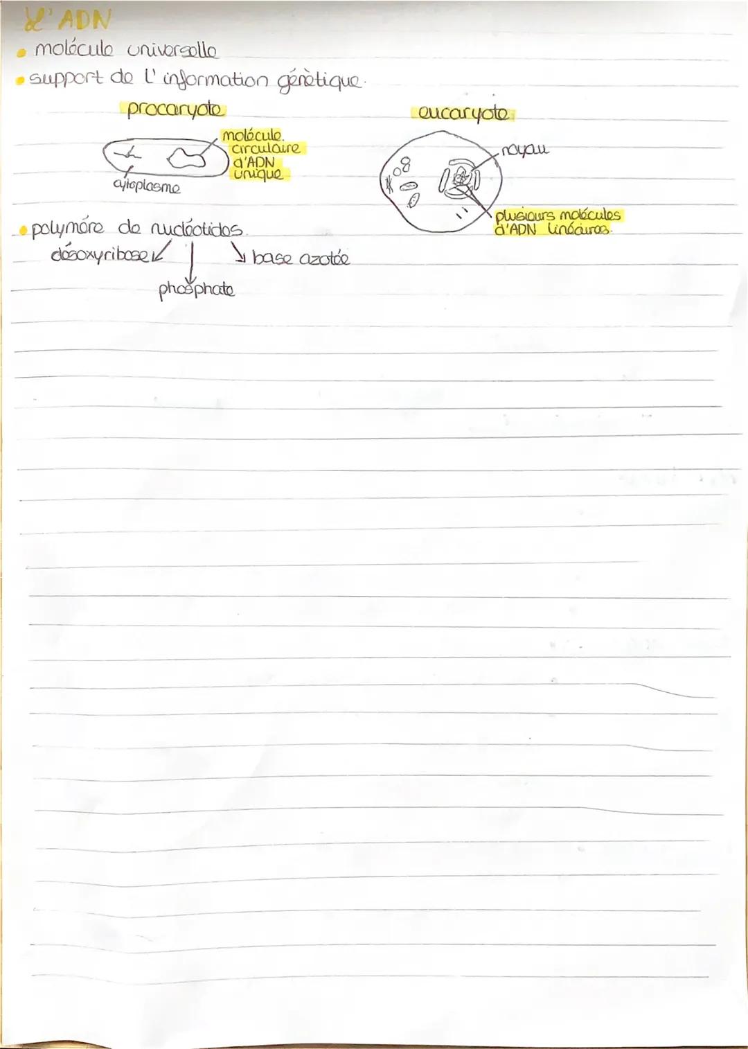 Le cycle cellulaire M séparation dos
filles.
cellule mére
04
cellules filles
duplication du
material genètique
S
quantité d'ADN
G₂
croissanc