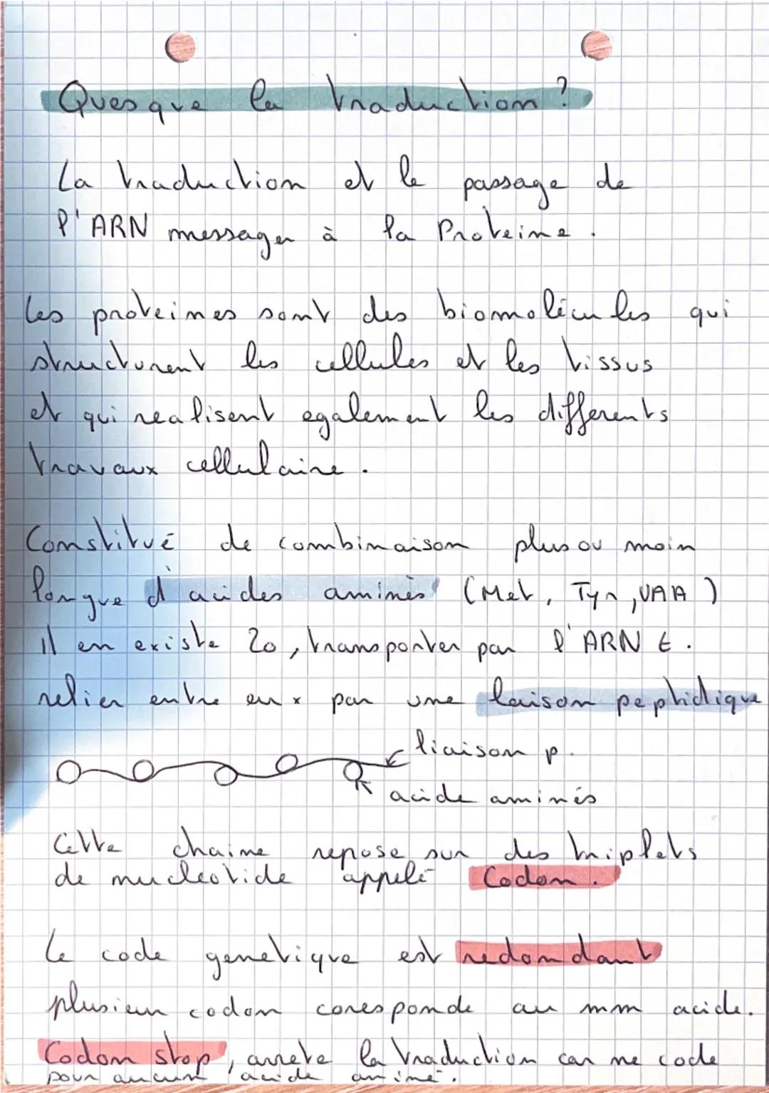 SVT: 9
•De l'ADN aux Proveine:
Ou se nove Velle ADN ?
ARN =
A. RiboN
Noyan
ARN+ADN
ART
ADN = A. Desoxyni bo. N
Membrane plasmique
Panoi
cyto