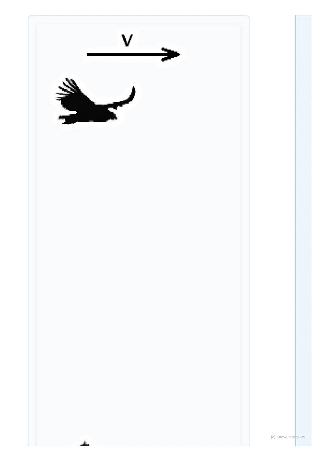 # Kinematika pohybu
## 1. Prehľad kinematiky pohybu
Kinematika pohybu je časť fyziky, ktorá sa zaoberá popisom pohybu telies.
To znamená,