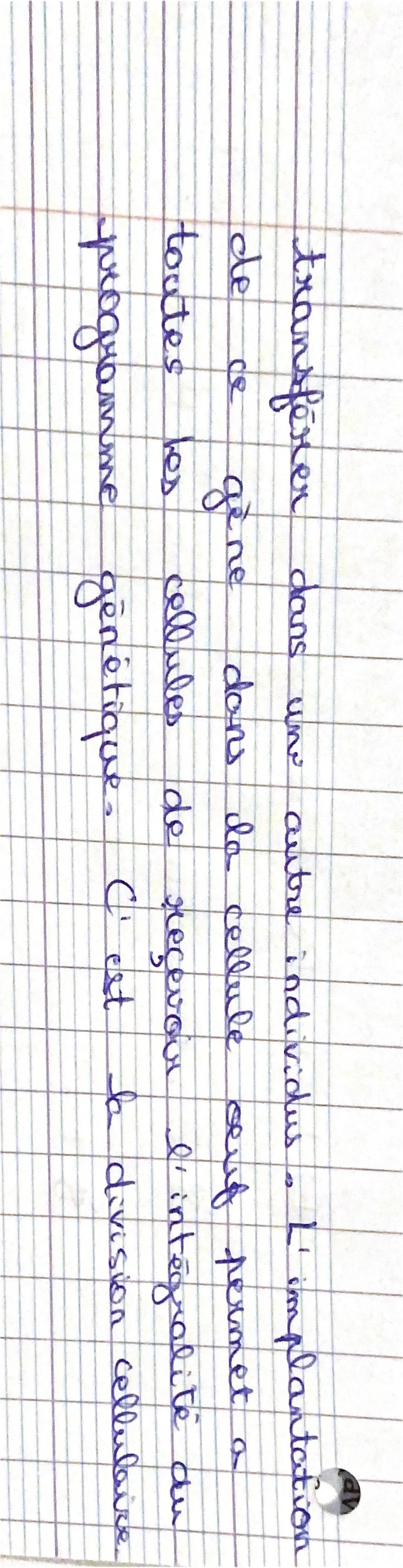 L'ADN
Shemas
d'une portion d'ADN
Babes
Bask asstee
azodées) guanine
cytosine
Brin 2
16
TA
nucleotide
5: sucre
Pphosphate
Brin 1
STRUCTURE EN