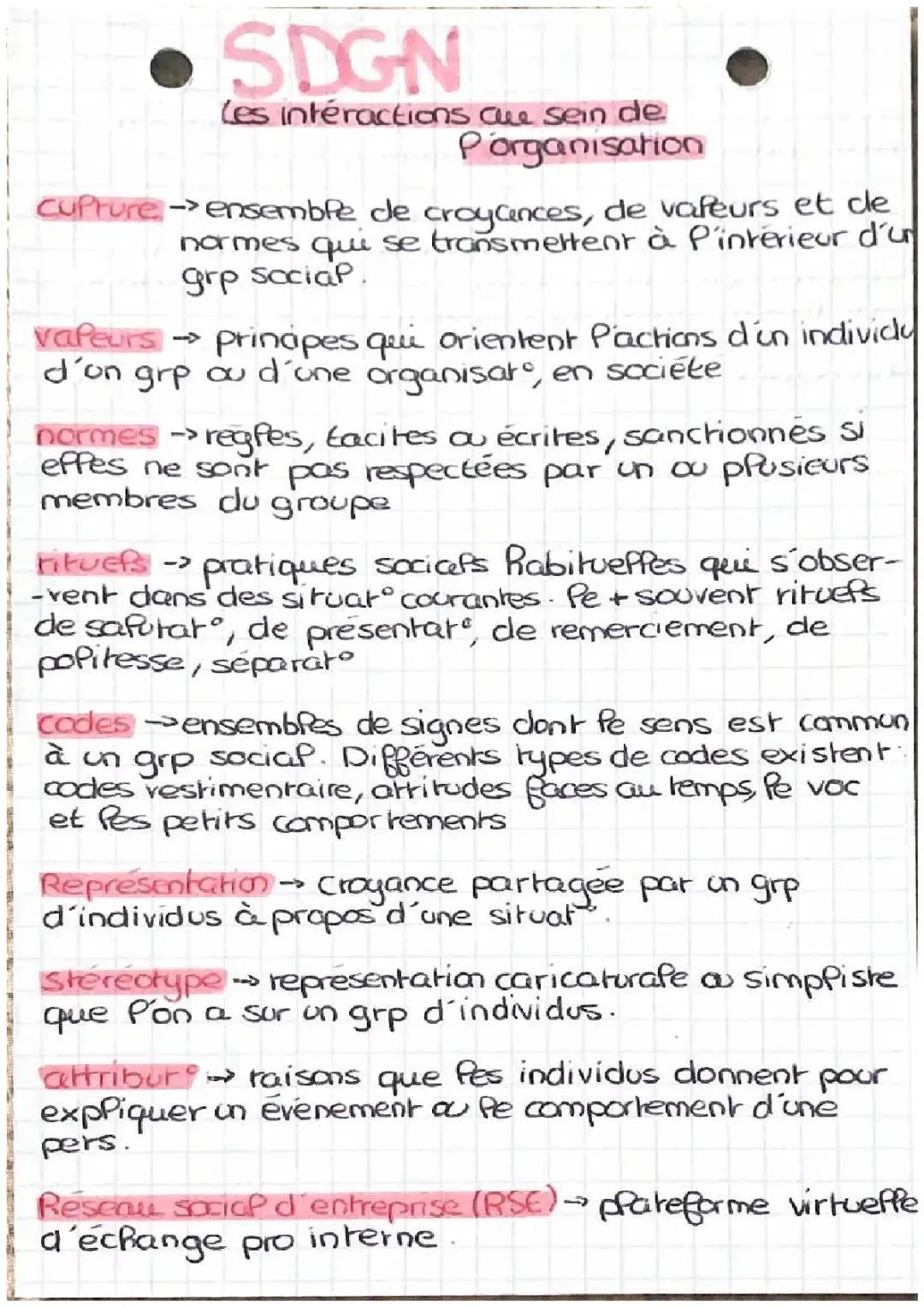 SDGN chapitre 5 les interactions au sein de l'organisation