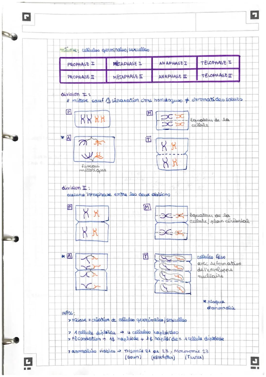 # CHA: Transmission, variation et expression du
patrimoine génétique
genotype /podrimoine génétique
ensemble des gêneo à sun individu
chre