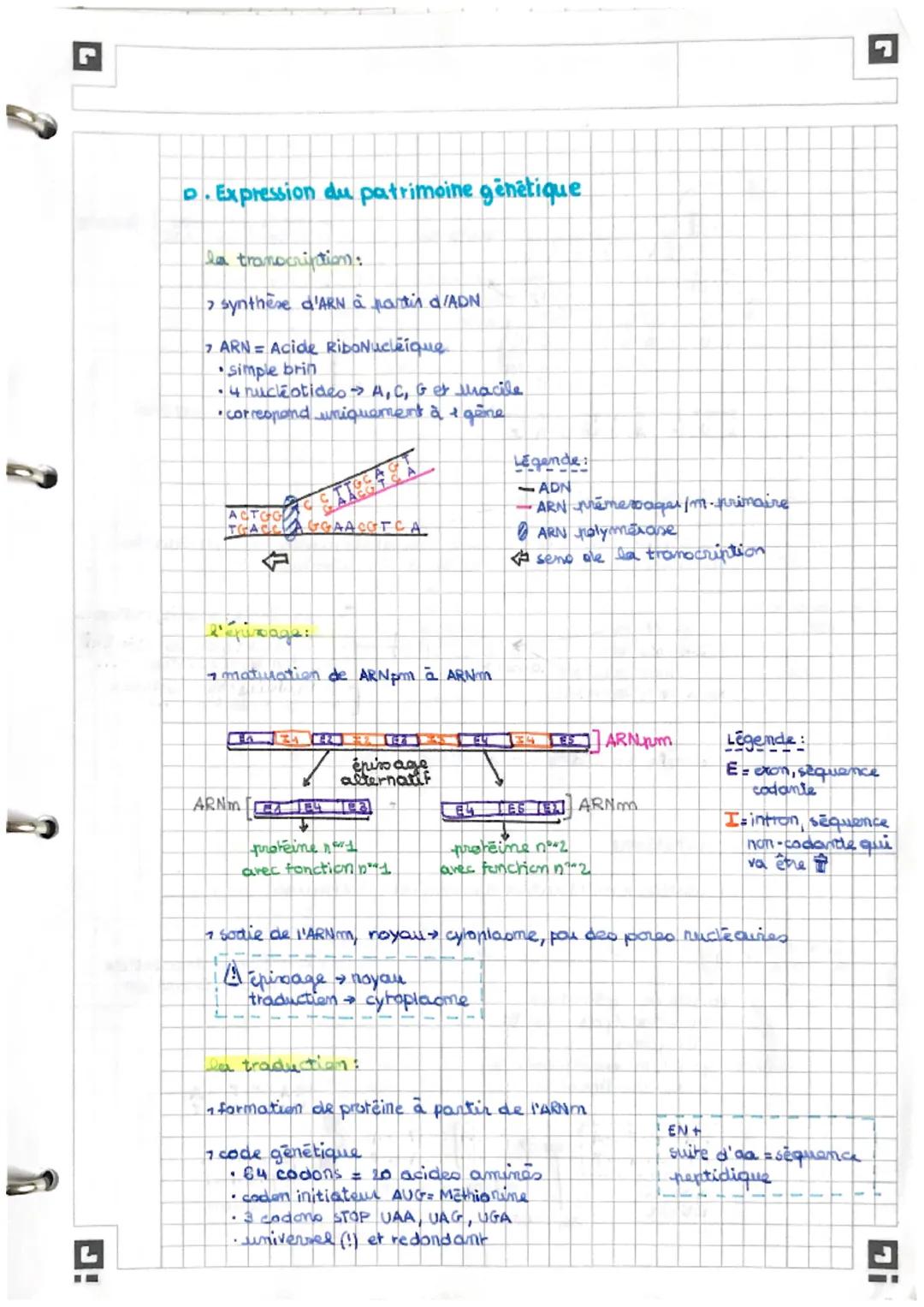 # CHA: Transmission, variation et expression du
patrimoine génétique
genotype /podrimoine génétique
ensemble des gêneo à sun individu
chre