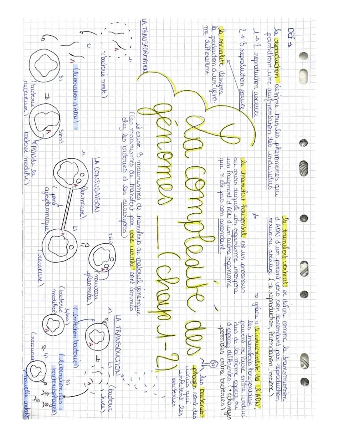 La complexité des génomes