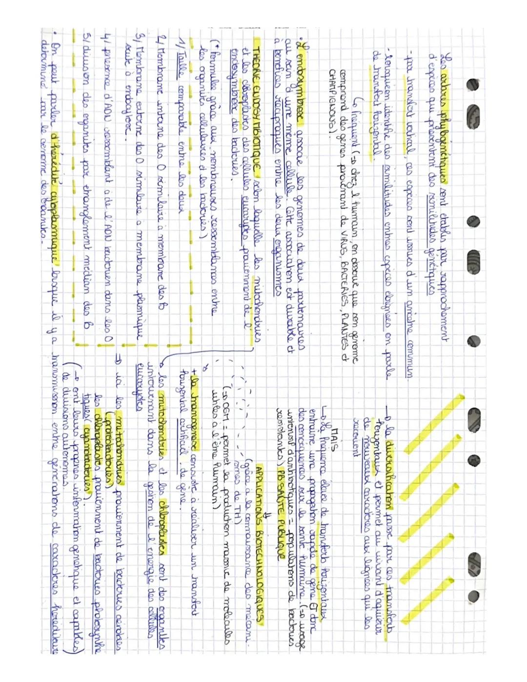 DEF
la reproduchon designe tous les phenomenes qui.
permettent une augmentation des undulidus
1-02 reproduction aseQuee
2 + 3 reproduchom sc