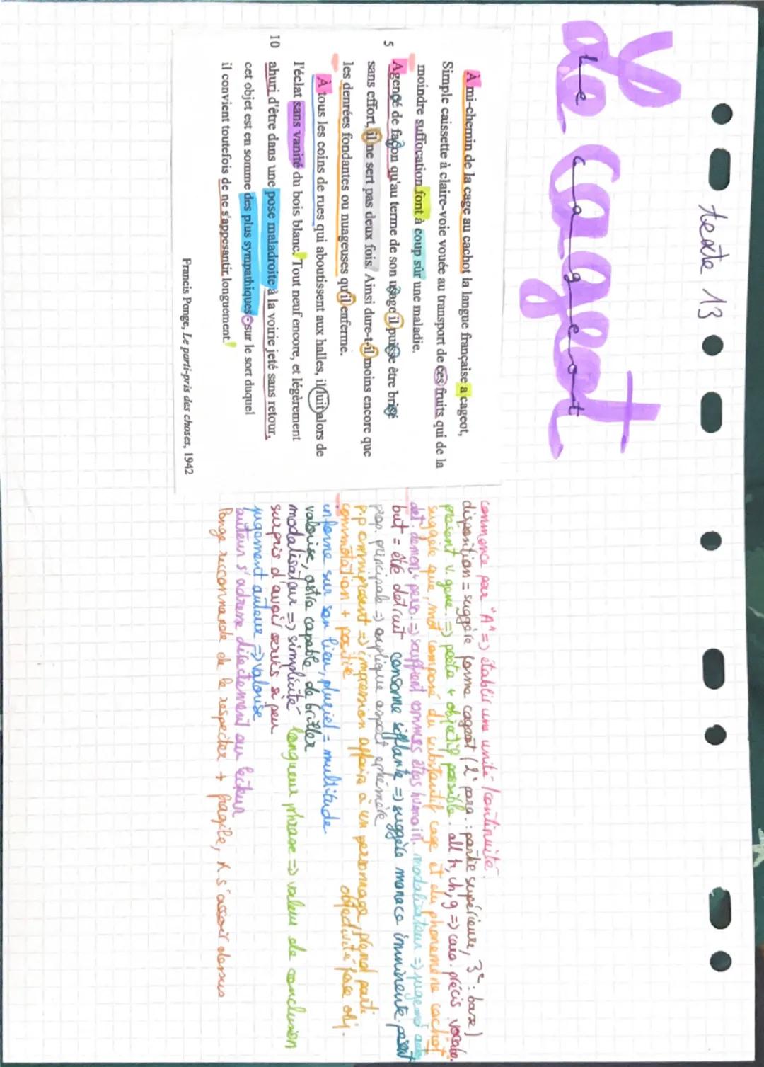 - teate 13
# Le cagest
5 A mi-chemin de la cage au cachot la langue française a cageot,
Simple caissette à claire-voie vouée au transport