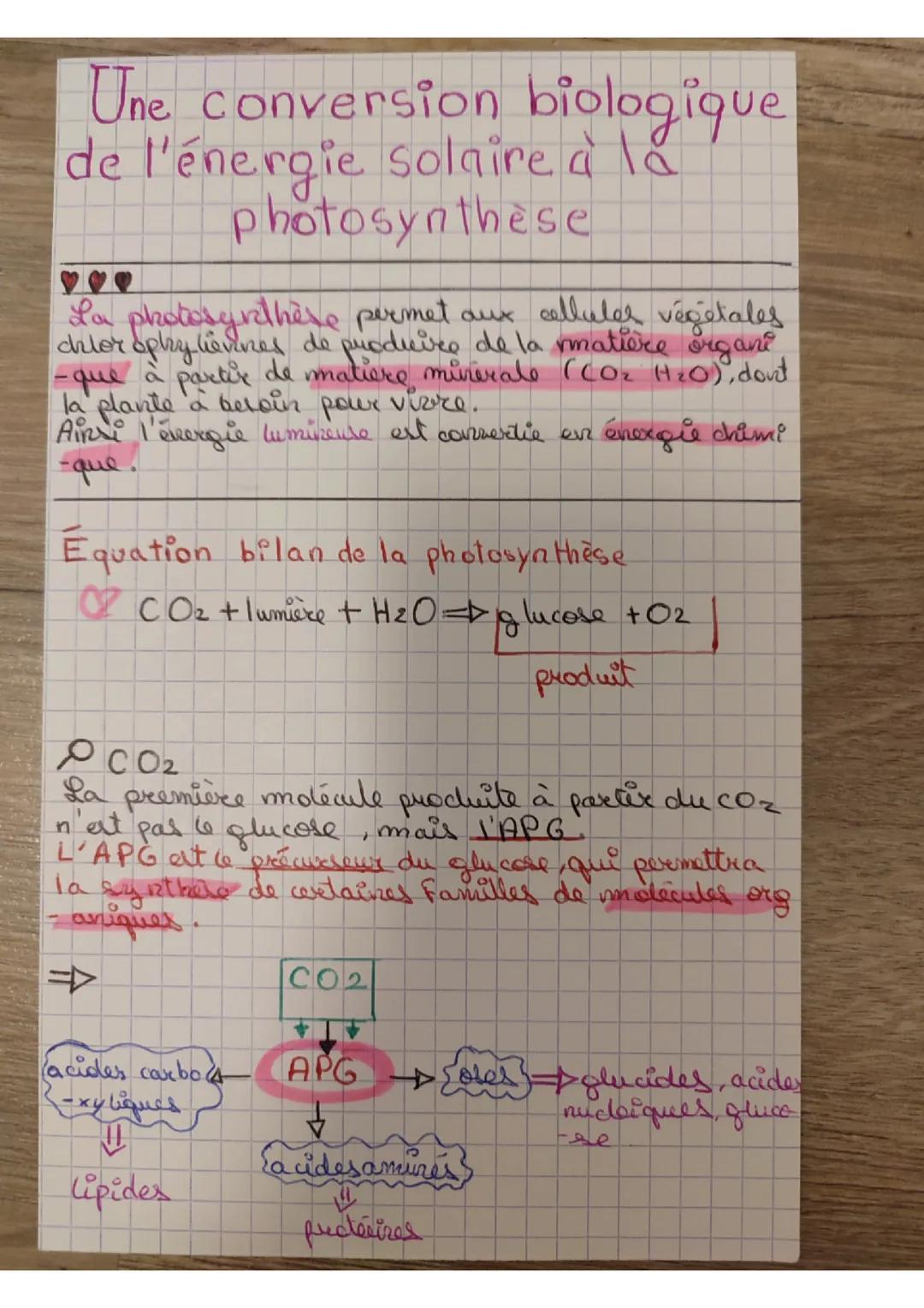# Une conversion biologique
de l'énergie solaire à la
photosynthèse
♡♡♡
La photosynthèse permet aux celluler végétales
chlor oprylievines d