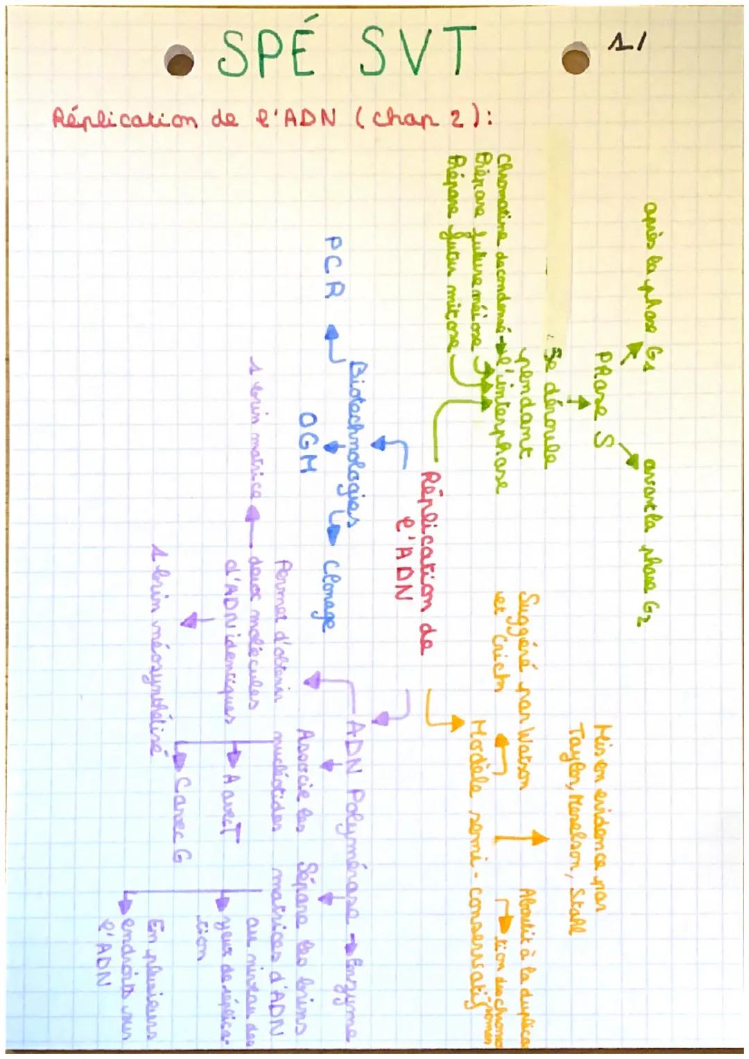 IV
SPE SVT
Réplication de l'ADN (chan 2):
His en evidence par
Taylor, Meselson, Stahl
Suggéré par Watson
Aboutit à la duplica
tion dis cham