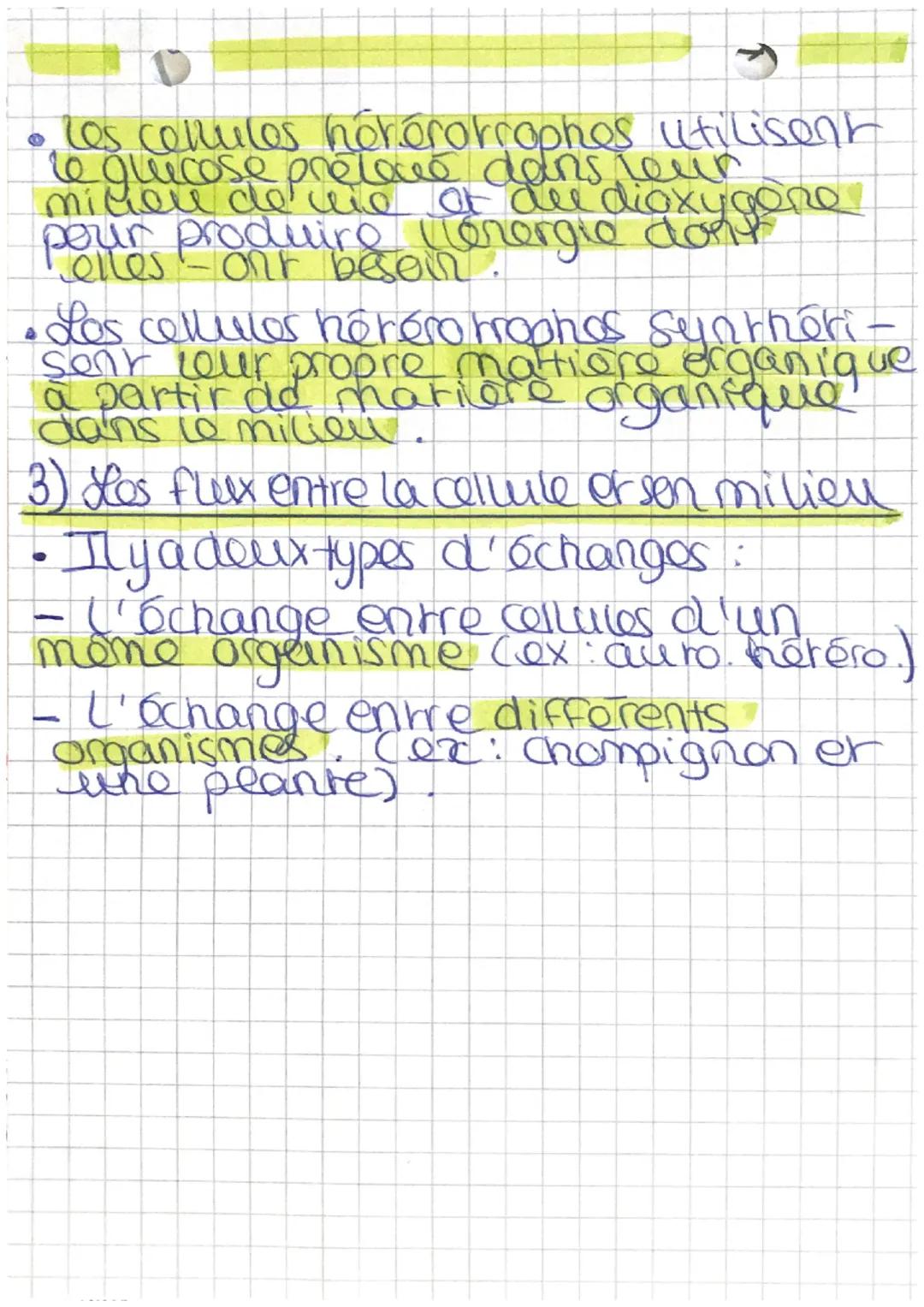 su
大
11) Le métabolisme des cellulos
1) Cellules chlorophylienos
energie eumineuse
H20
02
noyau
Chloroplaste
amidon
quicose
022
phorosynt