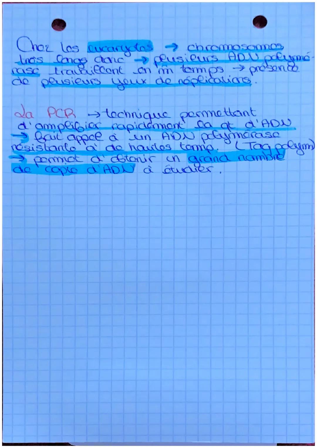 S.U.T.
da mitose
définit: roproduct conforme
d'une collele on a colluces
ayant lo m caryotype et to
m programme genotique.
elle est conserva