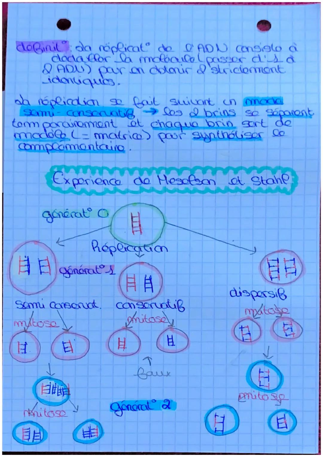 S.U.T.
da mitose
définit: roproduct conforme
d'une collele on a colluces
ayant lo m caryotype et to
m programme genotique.
elle est conserva