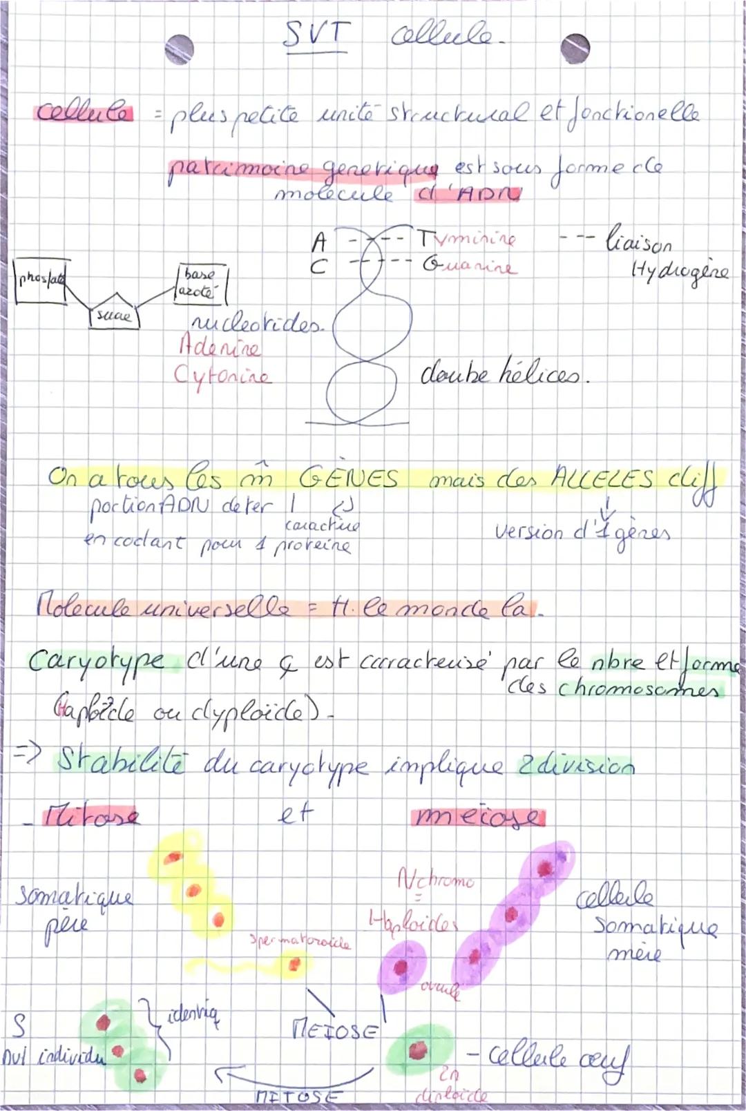 phoslate
cellule = plus petite unite structural et fonctionelle
parcimoine generique est sous forme cle
molecule d'Apr
suce
bare
fazoté
SVT
