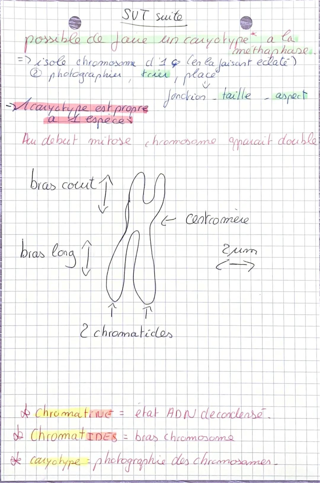 phoslate
cellule = plus petite unite structural et fonctionelle
parcimoine generique est sous forme cle
molecule d'Apr
suce
bare
fazoté
SVT