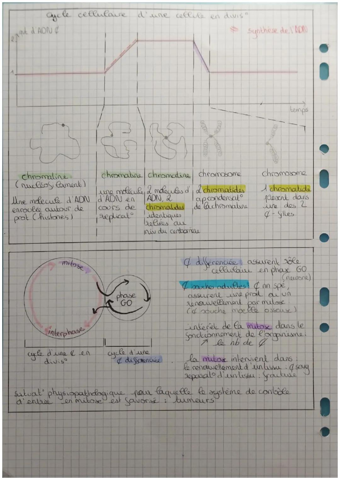 La cellule et l'informal" genétique
Somalique toute les & du corps que n'interviennent pas dans la
reproduct"
mitoo divis cellulaire
5509 fo