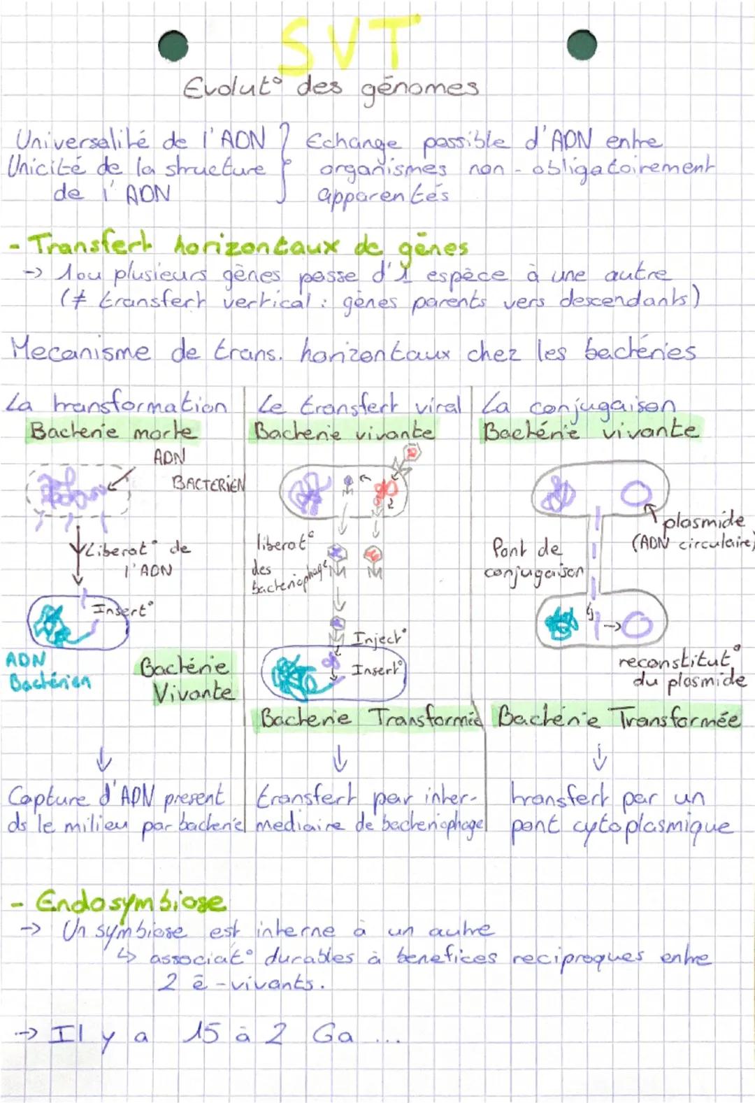 # SVT
Evolut° des genomes
Universalité de l'AON, Echange passible d'ADN entre
Unicité de la structure organismes non-obligatoirement
de l'
