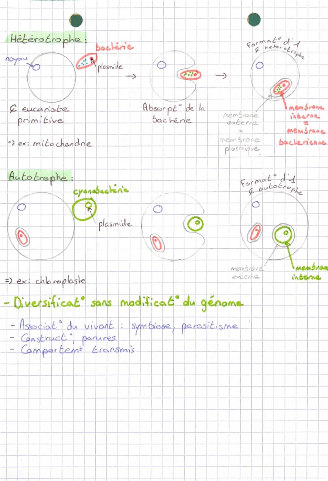 # SVT
Evolut° des genomes
Universalité de l'AON, Echange passible d'ADN entre
Unicité de la structure organismes non-obligatoirement
de l'
