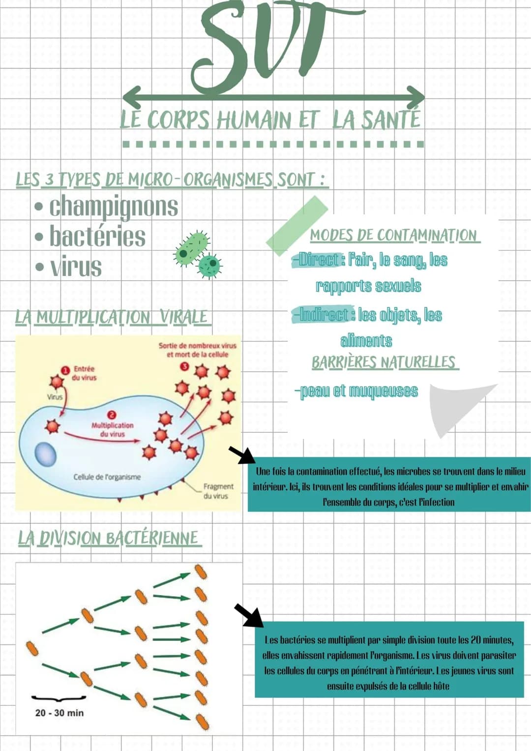 # SVT
## LE CORPS HUMAIN ET LA SANTÉ
### LES 3 TYPES DE MICRO-ORGANISMES SONT :
* champignons
* bactéries
* virus
### MODES DE CONTAMINAT