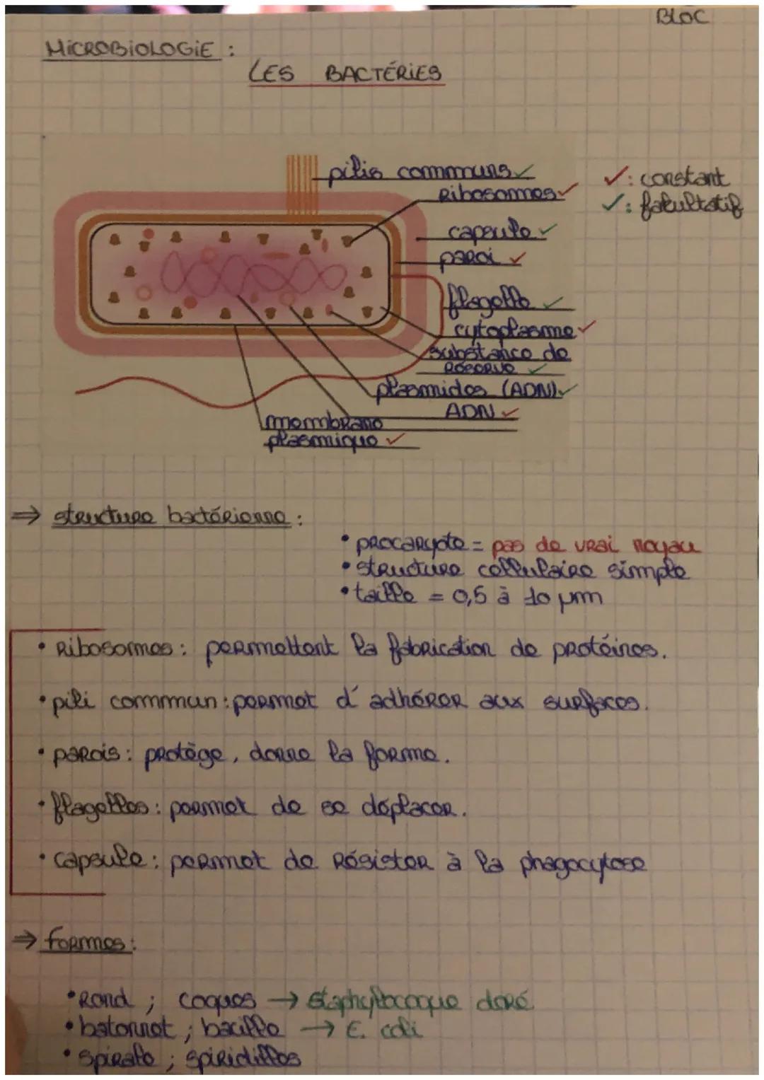 MICROBIOLOGIE:
LES BACTÉRIES
●
⇒ structure bactérienne:
pilis communs
Hoppborg
→ Formos:
mombraito
plasmique ✓
Ribosomes
capeuto
parci✓
flag