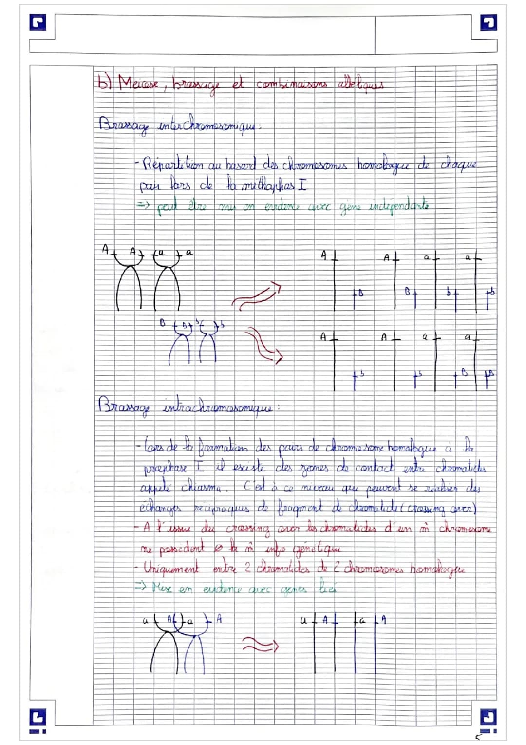 La reproduction sexuée contribue aux brassages du
génomes de chaque génération ?
# I- Fécondation et brassage génétique
Contribue brassage