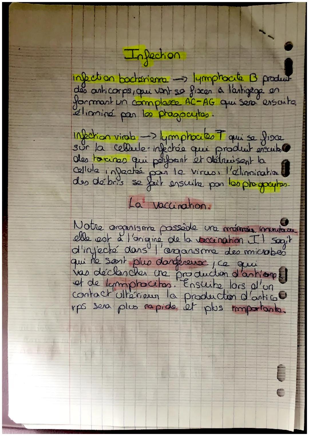 i
•
!
!
Fiche de révisions
SVT
L'homme face au monde microbien
Def:
microorganisme est un être vivant de petite taille
uniquerment visib