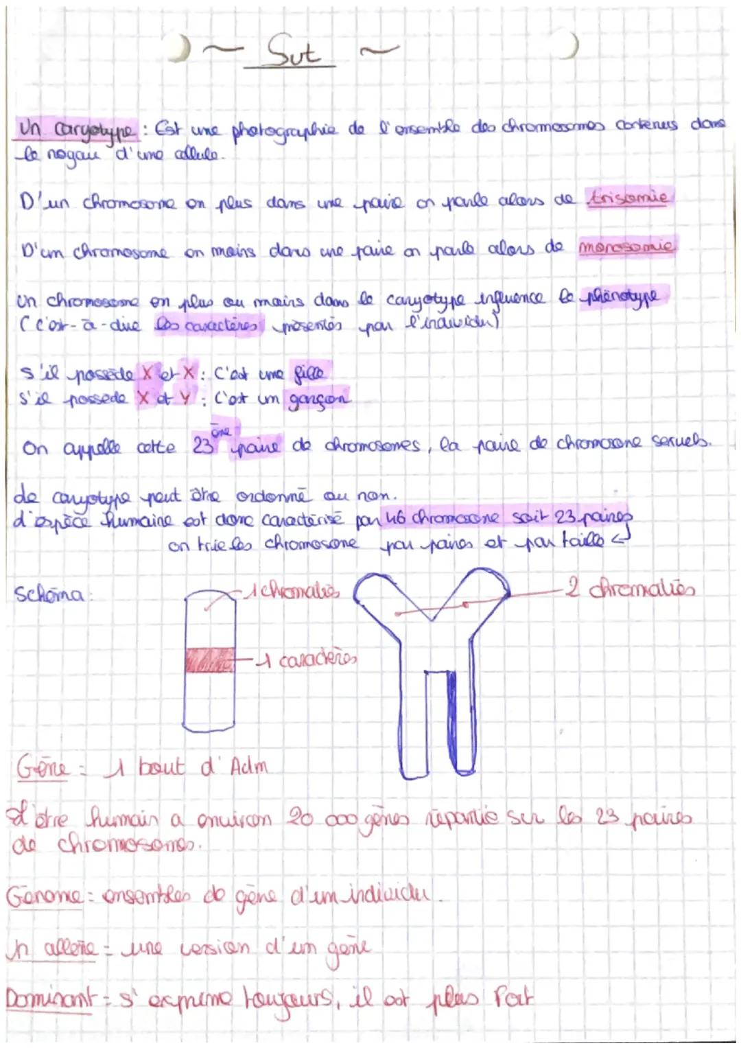 ~ Sut
Un caryotype : Est une photographie de l'ensemble des chromosomes contenus doms
le nogau d'une cellule.
D'un chromosome on plus dans u