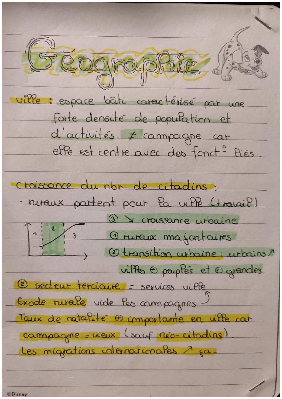 ✈️| Géographie : Métropole, 1ere