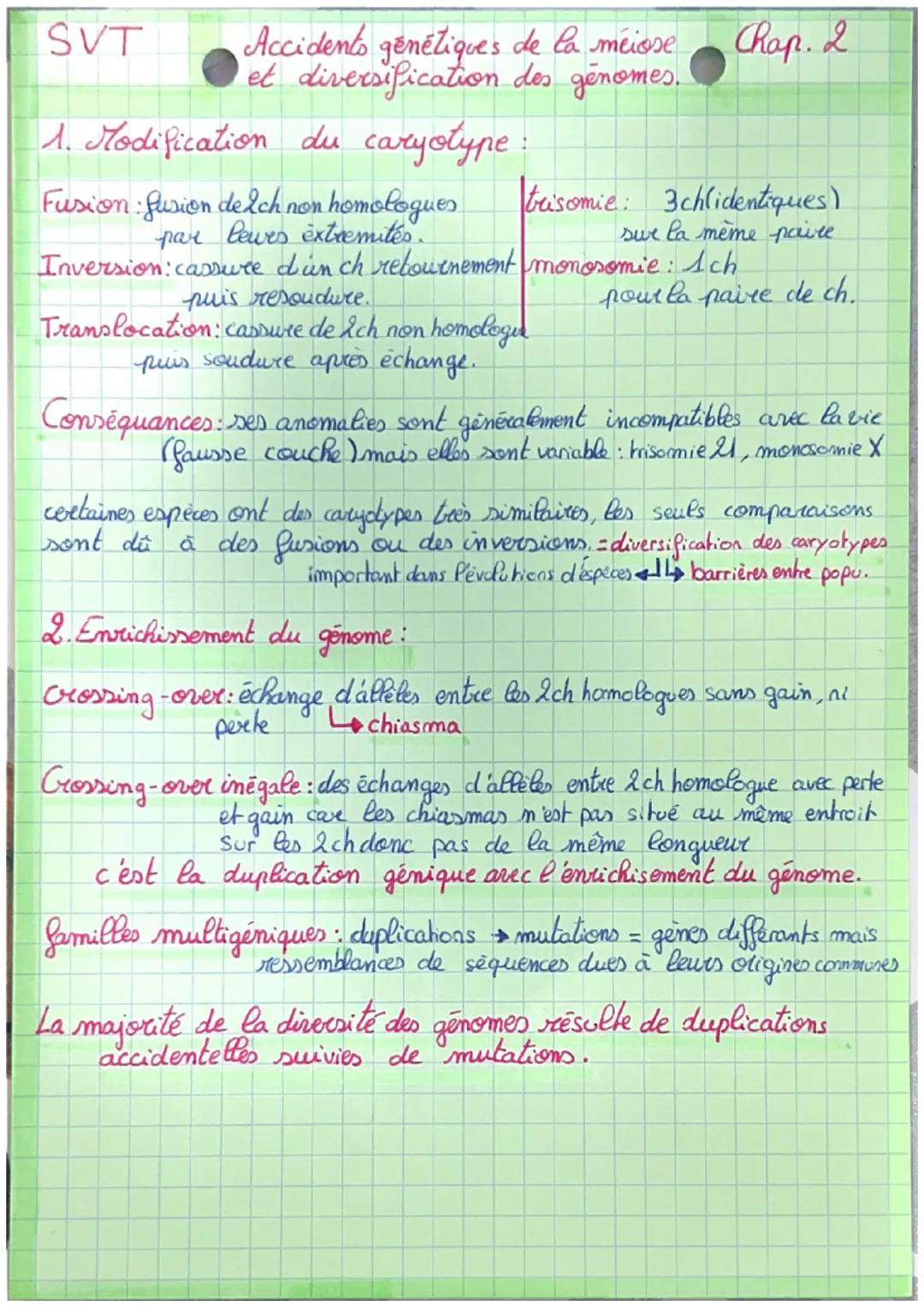 SVT
Accidents génétiques de la méiose
et diversification des génomes.
Chap. 2
1. Modification du caryotype:
Fusion Fusion de 2ch non homolog