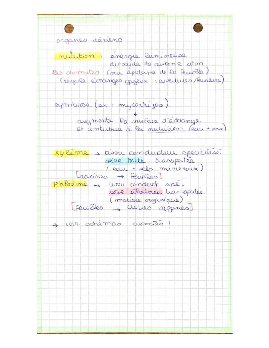 SUT
De la plante sauvage
à la plante domestiquee.
- Organisation fonctionnelle des
plantes à fleurs et adaptation
à leur milieux de vie
p