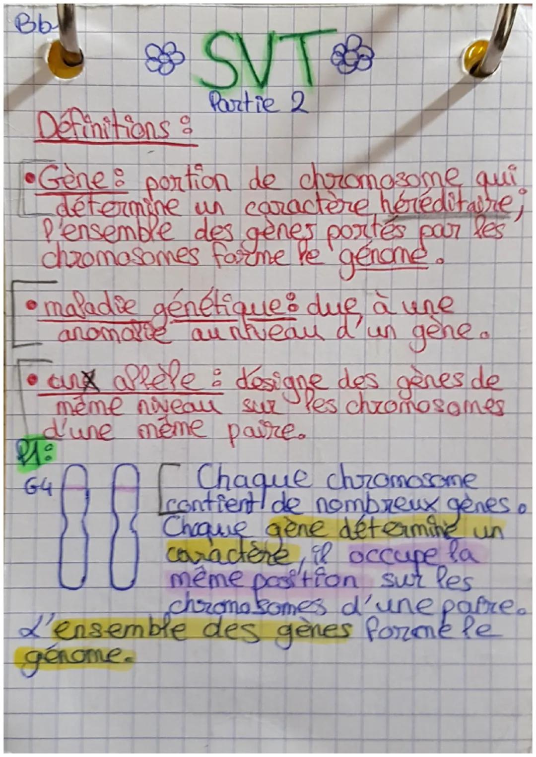 Bb
& SVT &
Partie 2
Définitions &
•Gène : portion de chromosome qui
détermine un caractère héréditaire
l'ensemble des gènes portés par les
c