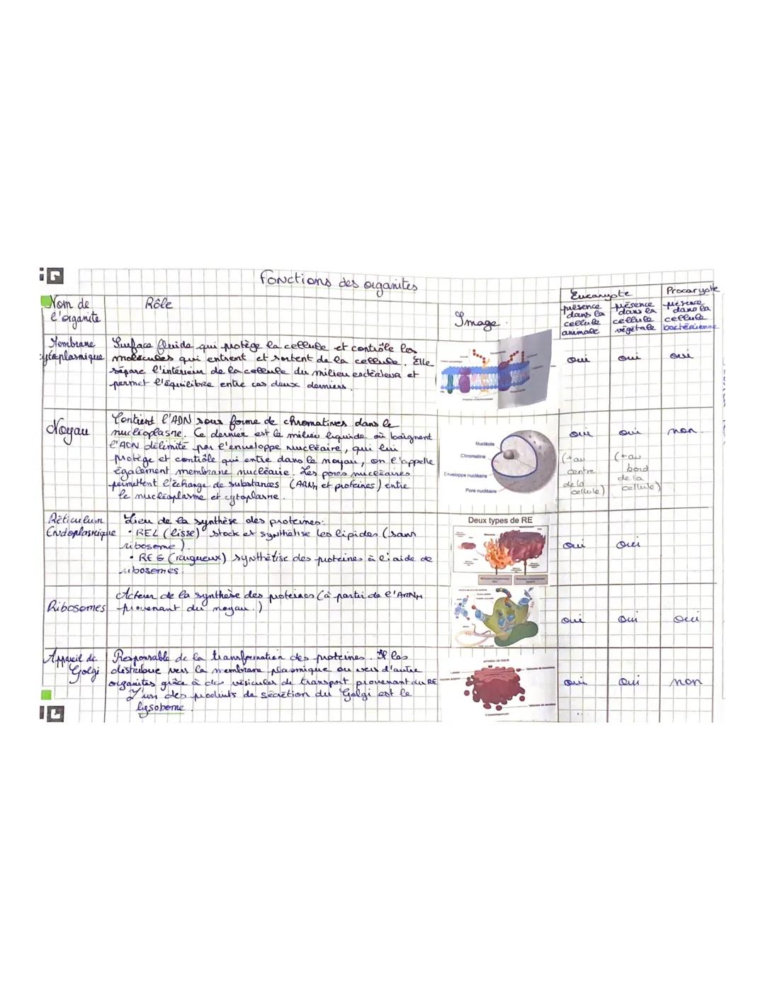 1 Nom de
l'organite
Rôle
Fonctions des organites
Membrane Surface fluide qui protège la cellule et contrôle los
:ytoplasmique molecules qui