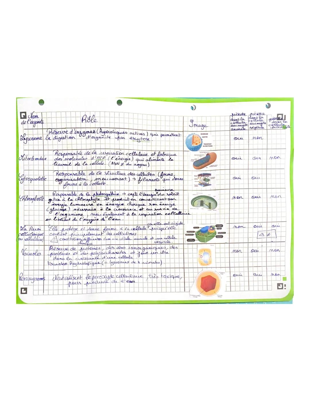 1 Nom de
l'organite
Rôle
Fonctions des organites
Membrane Surface fluide qui protège la cellule et contrôle los
:ytoplasmique molecules qui