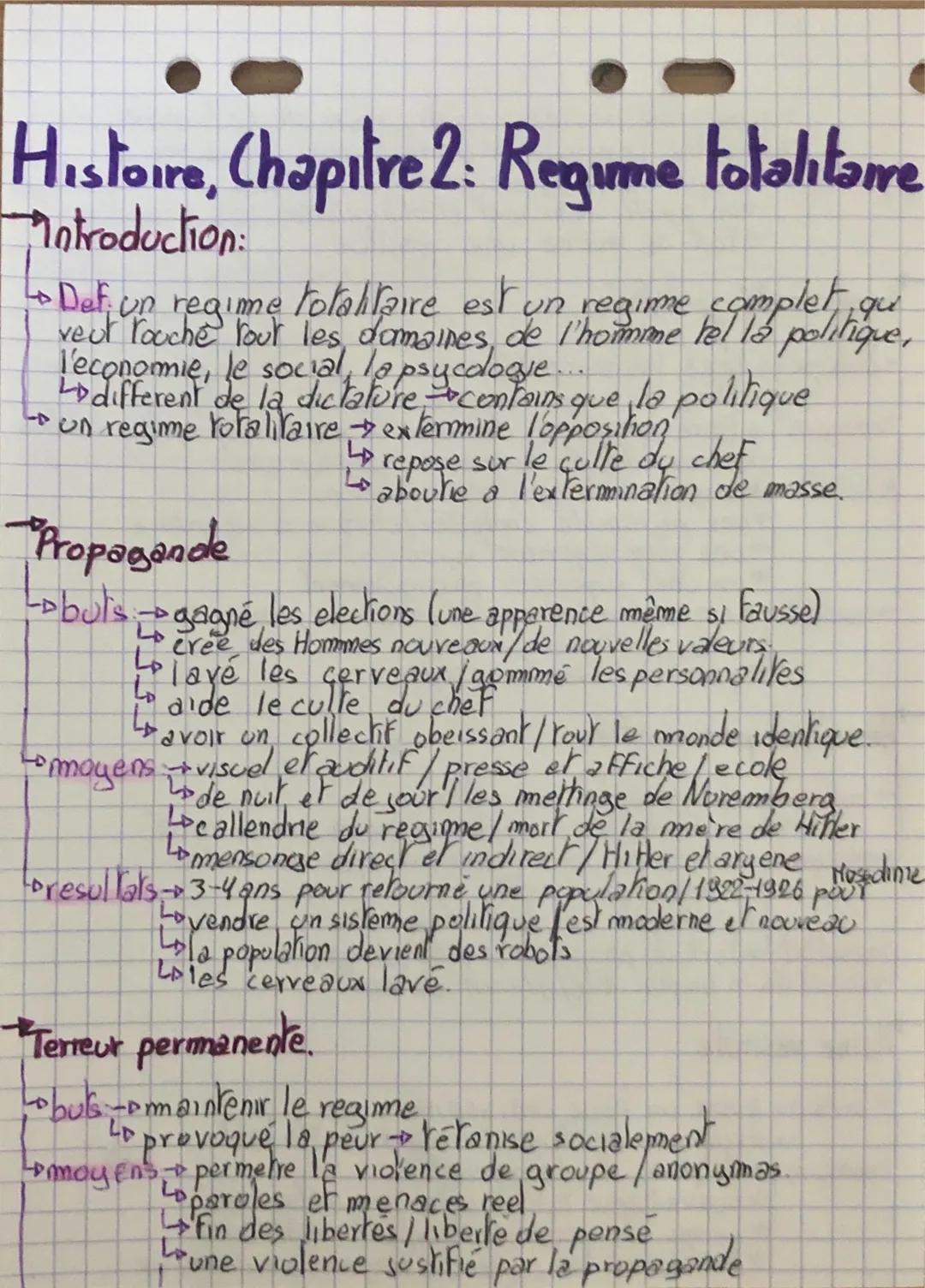 Les régimes totalitaires - histoire