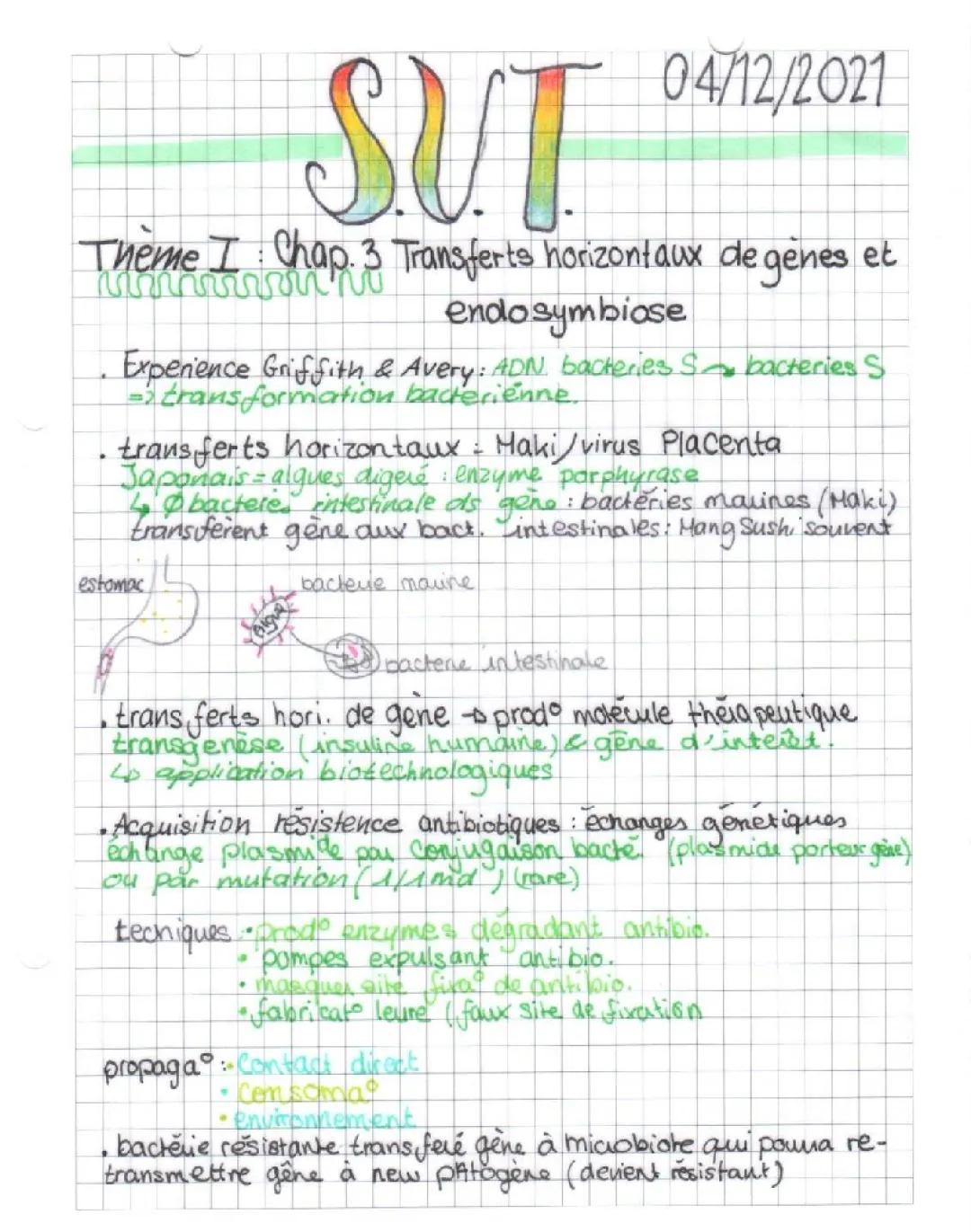 SVT Transferts horizontaux de gènes et endosymbioses