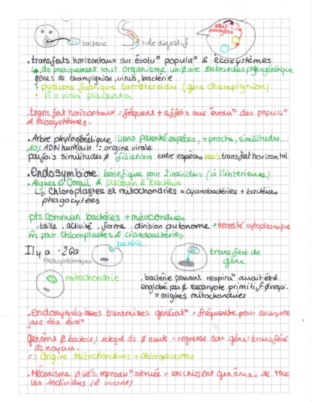 SUT
Theme I: Chap. 3
・3 Transferts horizontaux de gènes et
endosymbiose
Experience Griffith & Avery: ADN bacteries S bacteries S
= transform