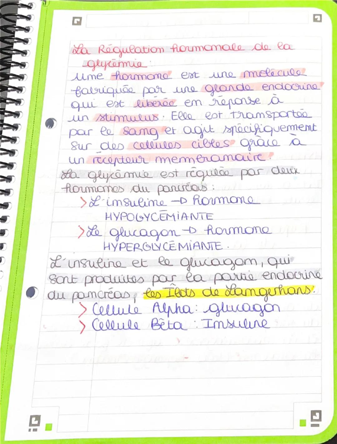 + BPH: Chapitre 2: da glycémie 17/10
Terminologie
glyc(e): glucose
glycogén(s) glycogène
Insulim(o): insulime
- emie le samg
hypo- diminutio