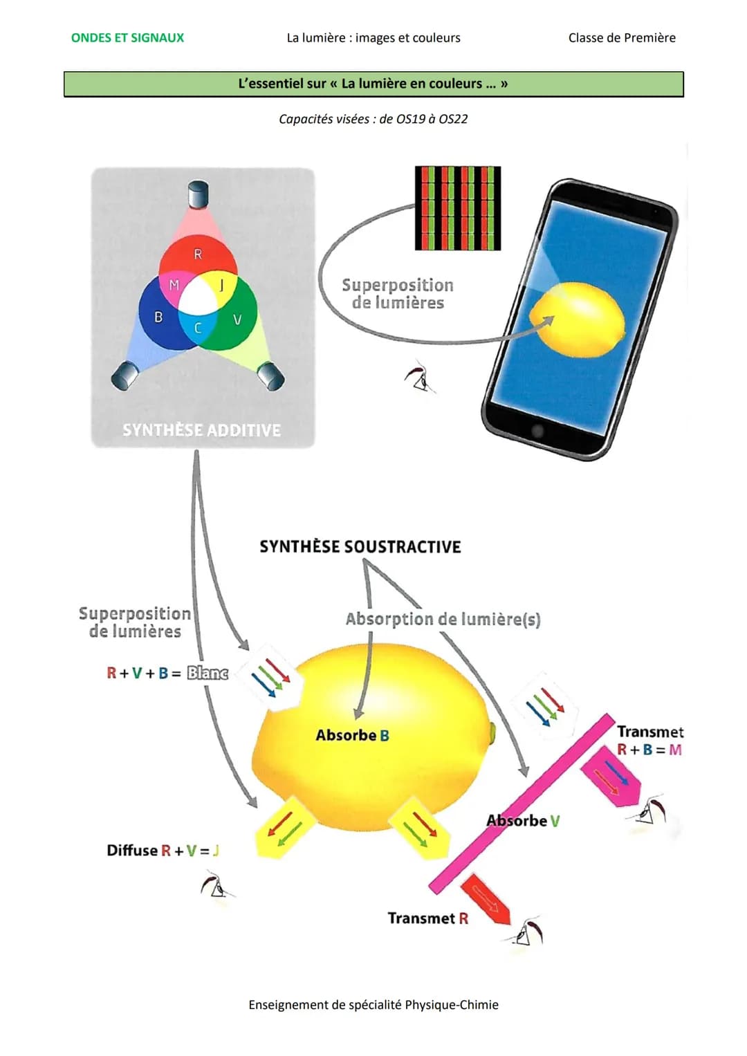 ONDES ET SIGNAUX
La lumière: images et couleurs
Classe de Première
L'essentiel sur <<< La lumière en couleurs ... >>>
Capacités visées: de