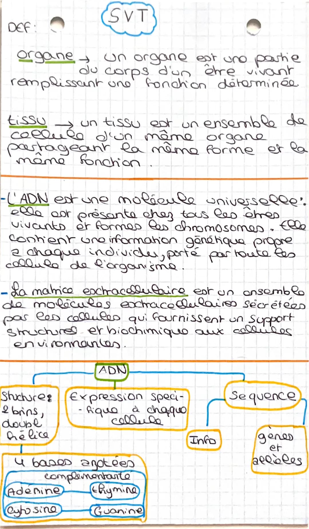 # SVT
DEF:
organe → un organe est une partie
du corps d'un être vivant
remplissant une fonction déterminée.
tissu → un tissu est un ensemble