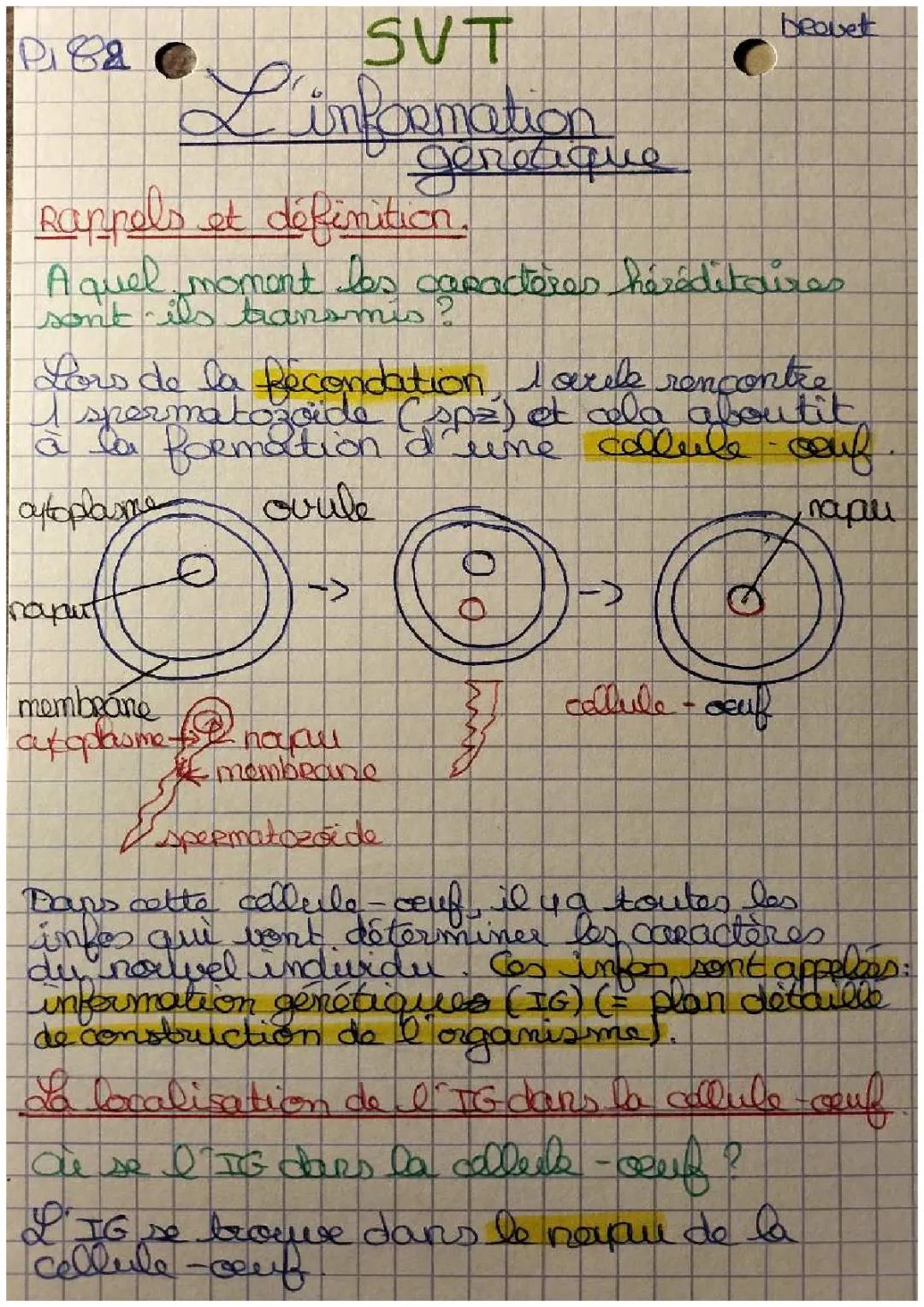 SVT-L'information génétique (IG)/3e