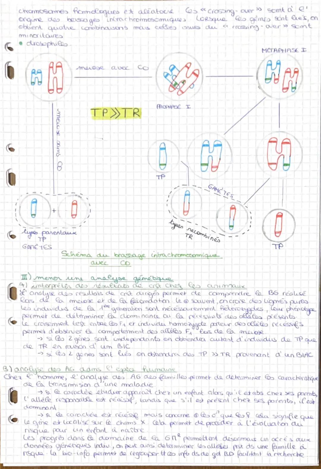 1ERE PARTIE GÉNÉTIQUE ETEVO
introduction!
Les mécanismes gemetiques qui reagissent le monde vivant jouent um grand
role dans l' evolution Le