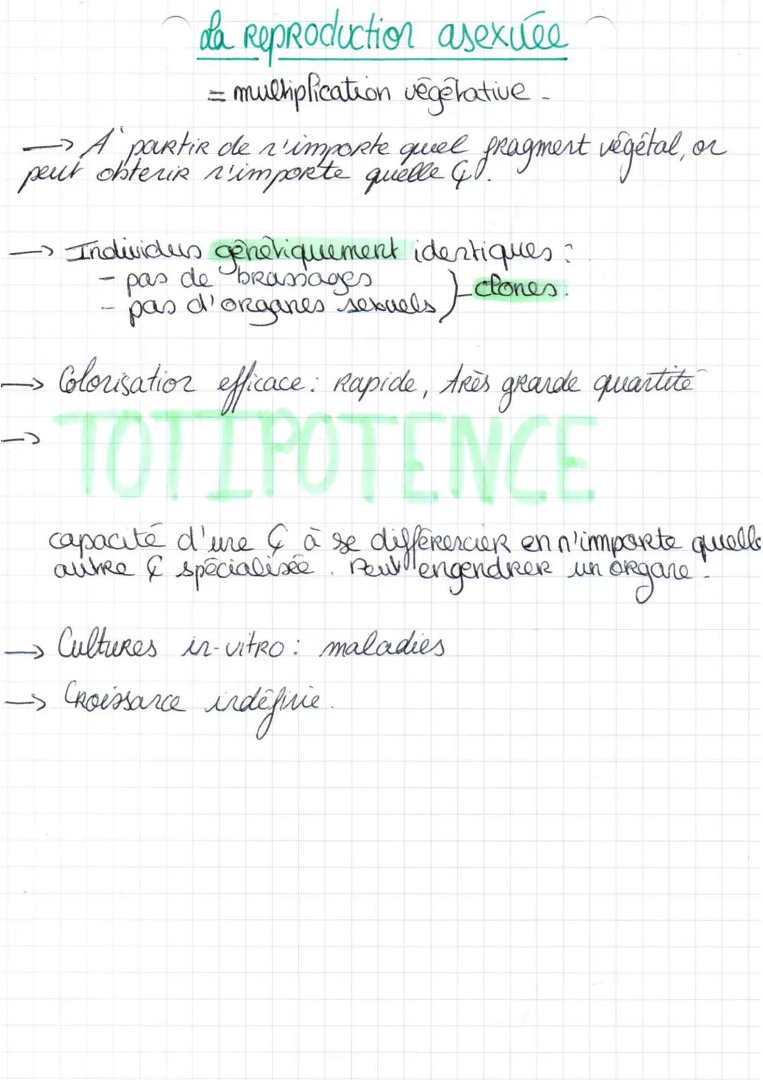 da Reproduction asexuee
= multiplication végérative.
- A partir de n'importe quel gragmert végétal,.
peut obteris n'importe quelle GO.
Indiv