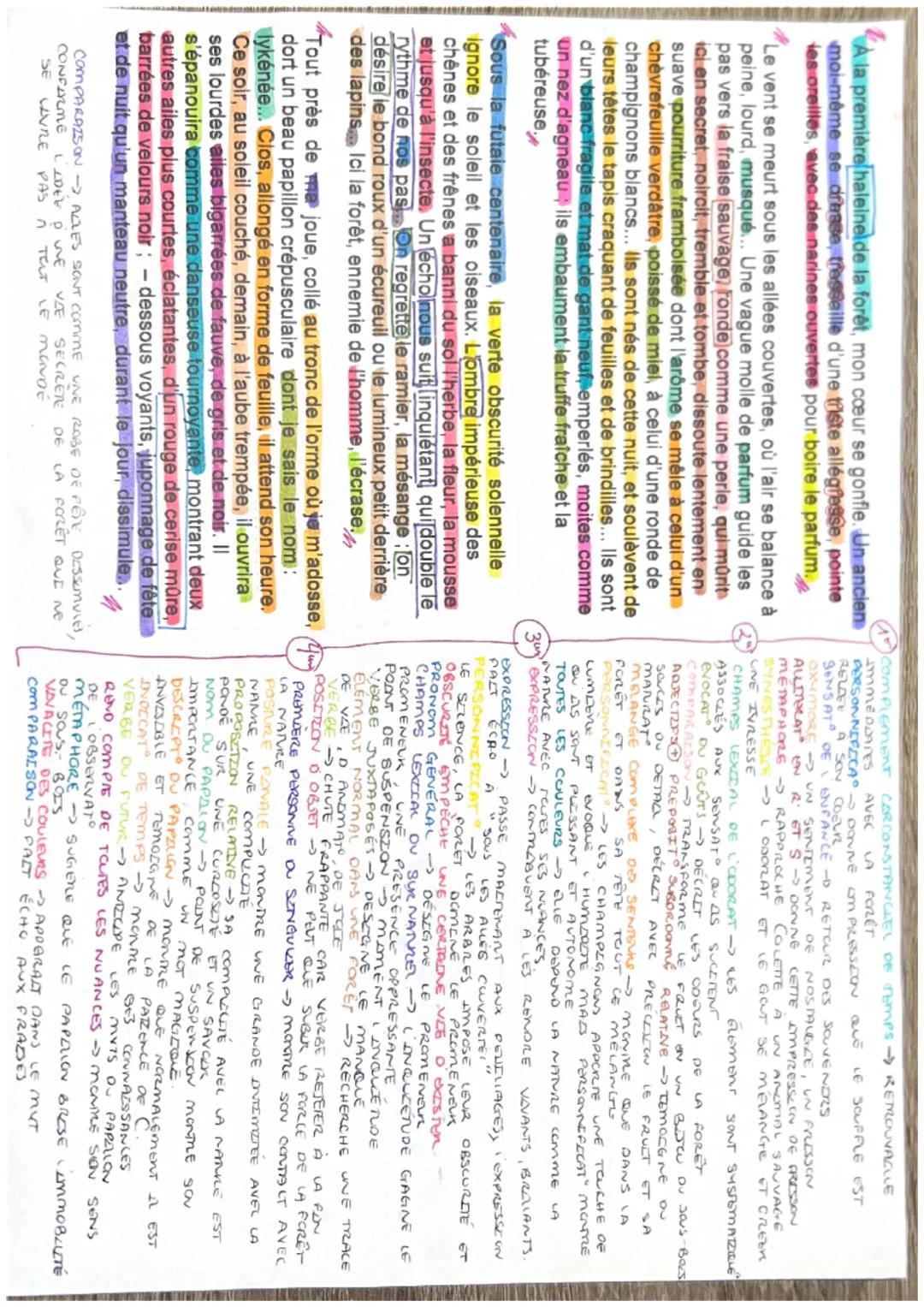 Colette la forêt de Crécy