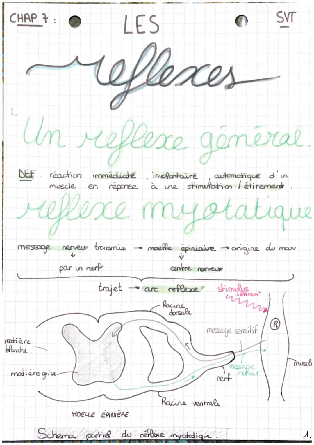 CHAP 7:
LES
reflexes
Un reflexe général.
DEF: reaction immédiate
involontaire
>
1
muscle
automatique d'in
en réponse à une stimulation / éti
