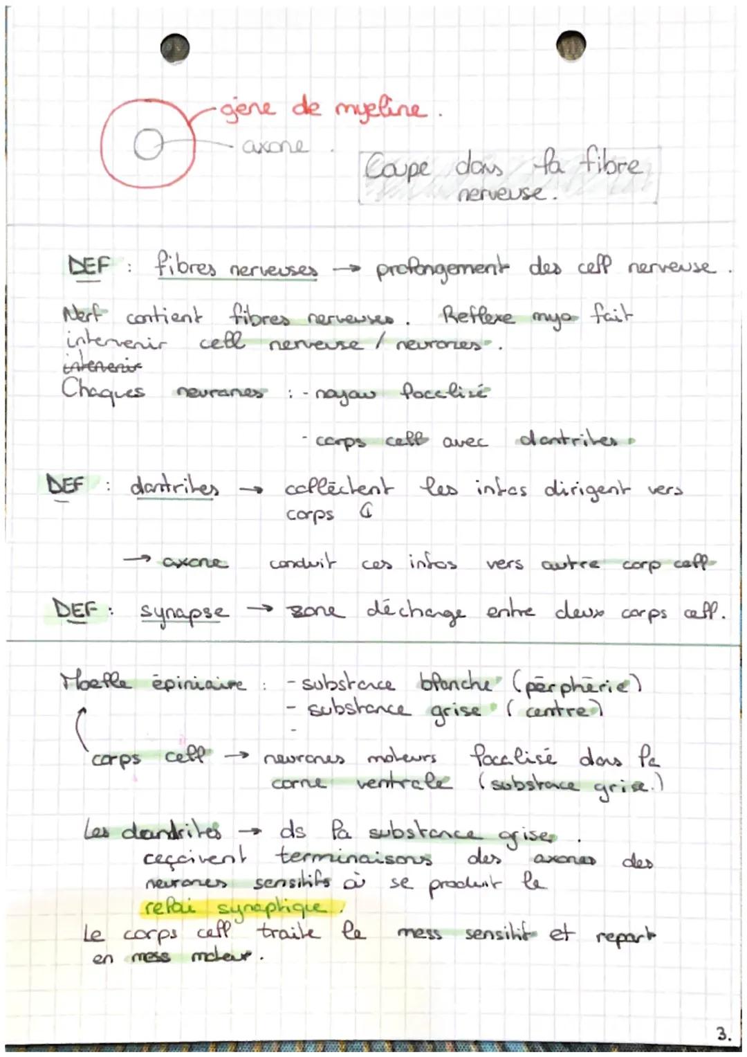 CHAP 7:
LES
reflexes
Un reflexe général.
DEF: reaction immédiate
involontaire
>
1
muscle
automatique d'in
en réponse à une stimulation / éti