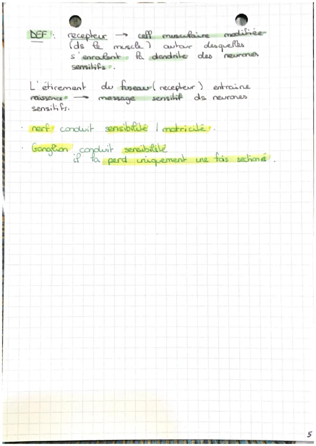 CHAP 7:
LES
reflexes
Un reflexe général.
DEF: reaction immédiate
involontaire
>
1
muscle
automatique d'in
en réponse à une stimulation / éti