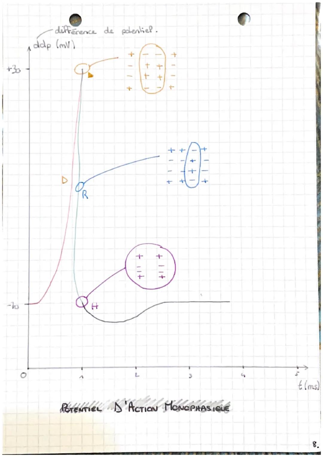 CHAP 7:
LES
reflexes
Un reflexe général.
DEF: reaction immédiate
involontaire
>
1
muscle
automatique d'in
en réponse à une stimulation / éti