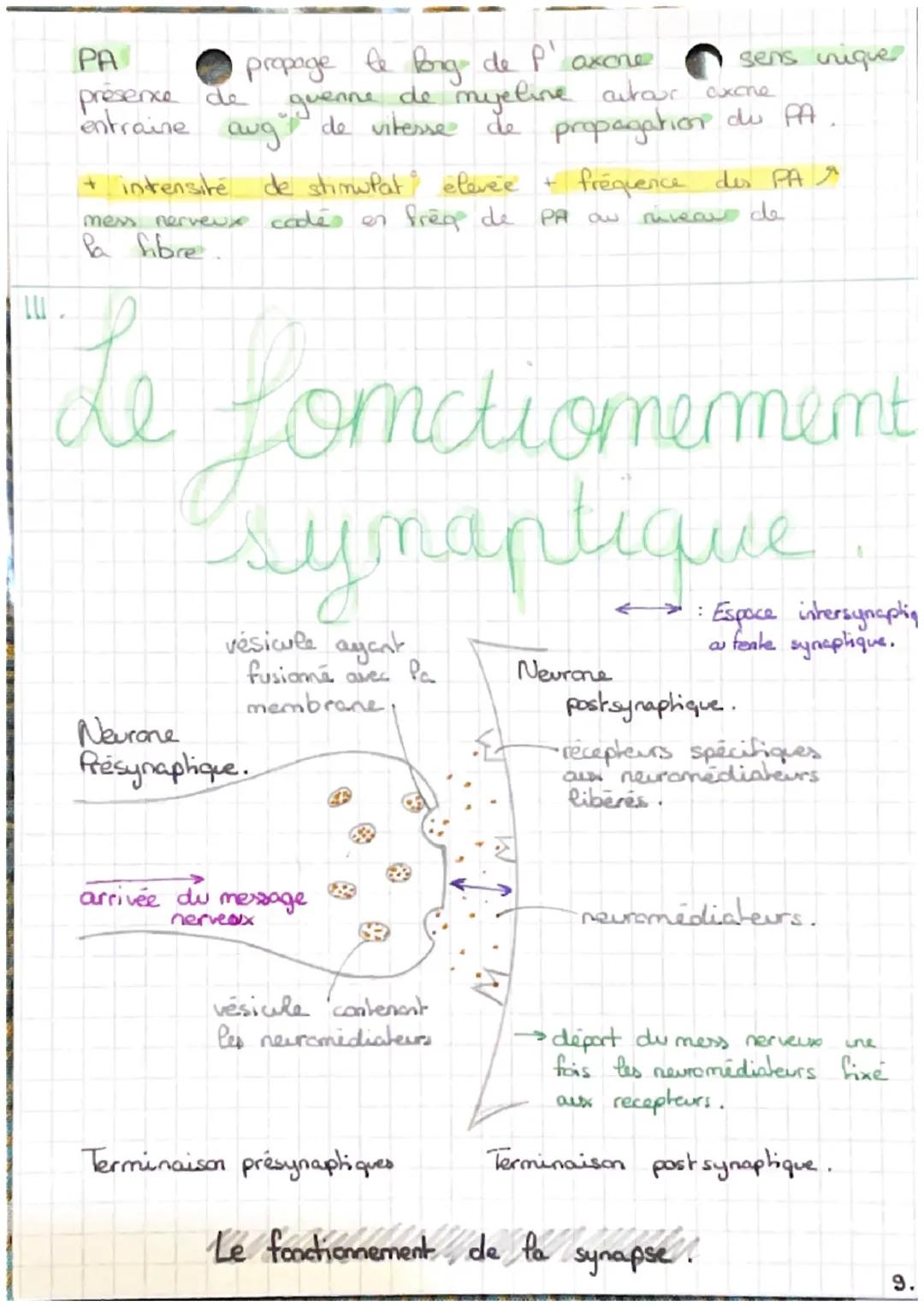 CHAP 7:
LES
reflexes
Un reflexe général.
DEF: reaction immédiate
involontaire
>
1
muscle
automatique d'in
en réponse à une stimulation / éti
